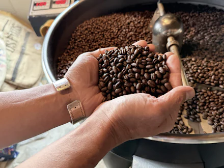 【横須賀】0.1度を操る焙煎職人。田村英治さんが生む「Tsukikoya」の究極の一杯